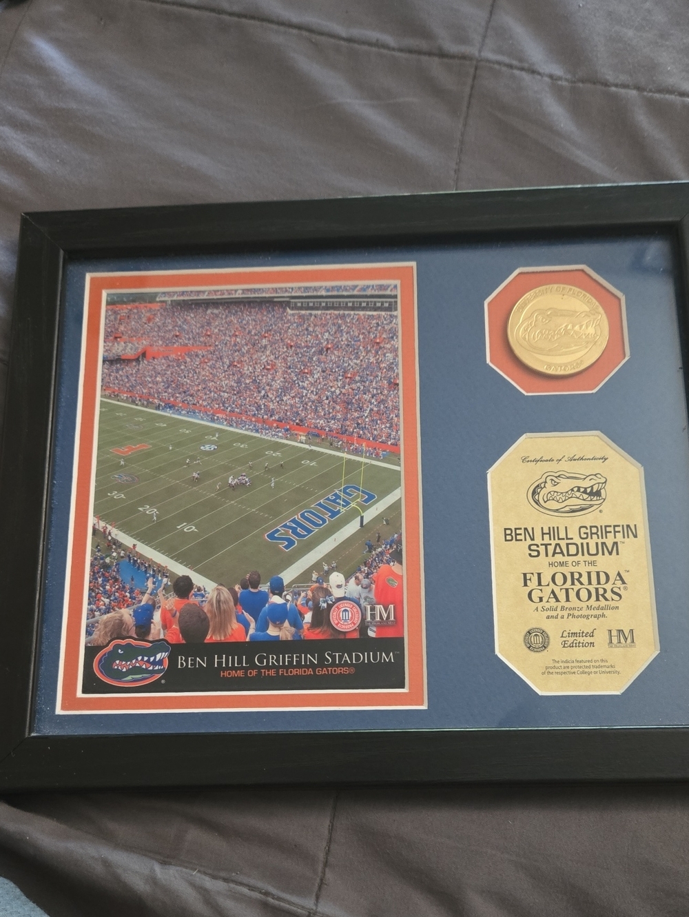 Florida Gators Ben Hill Griffin Stadium Framed Memorabilia - Blue/Orange